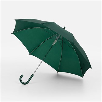 {{photo.Alt || photo.Description || 'Зонт-трость Promo (цвет темно-зеленый)'}}