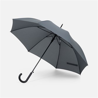 {{photo.Alt || photo.Description || 'Зонт-трость Rainolla (цвет серый)'}}