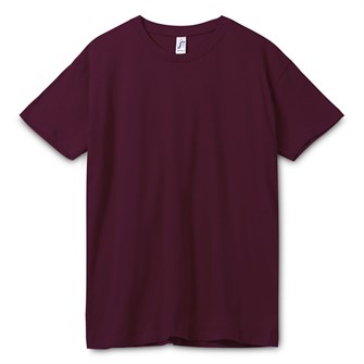 {{photo.Alt || photo.Description || 'Футболка унисекс Regent 150, бордовая'}}